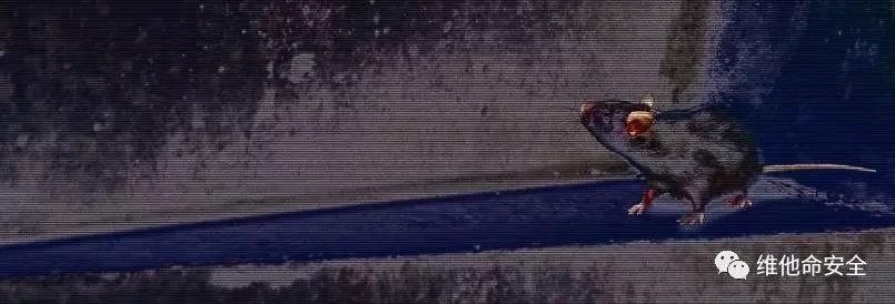 918������(�й���)���¹ٷ���վ